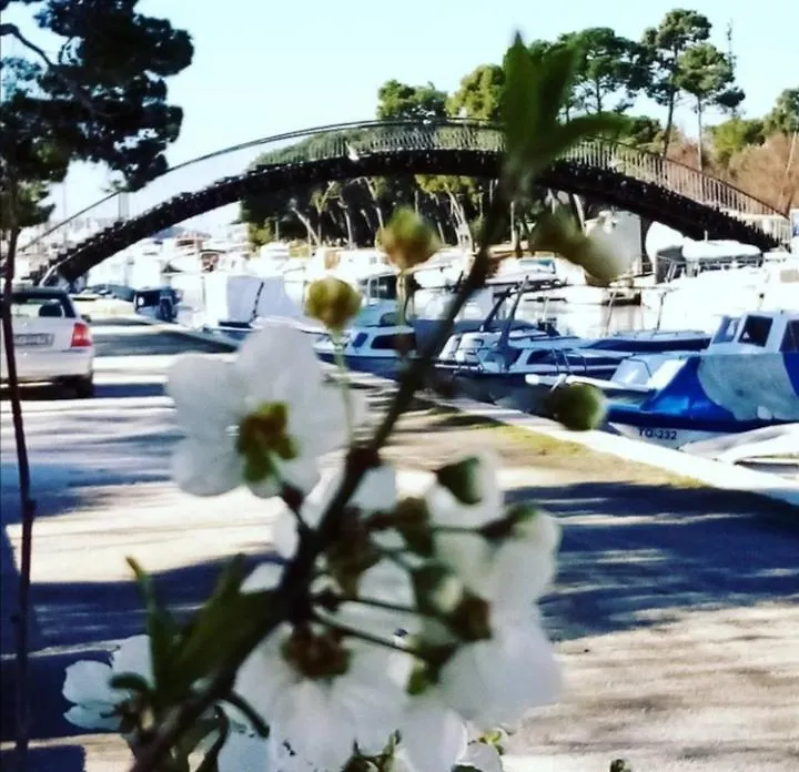 Towerhousesasso Trogir Guest house